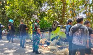 WhatsApp Image 2024-10-17 at 18.52.21