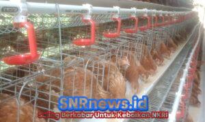 WhatsApp Image 2025-10-11 at 20.07.08