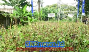 WhatsApp Image 2025-10-29 at 16.05.17