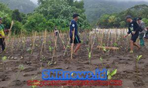 WhatsApp Image 2025-11-06 at 16.45.33 (1)