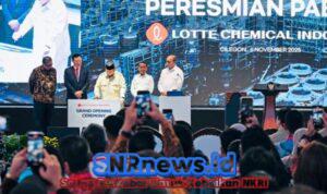 WhatsApp Image 2025-11-08 at 12.36.04