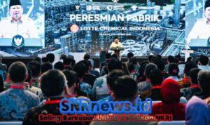 WhatsApp Image 2025-11-08 at 12.37.19