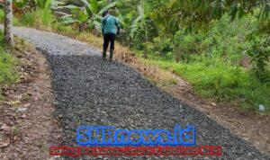 WhatsApp Image 2025-11-11 at 10.39.05