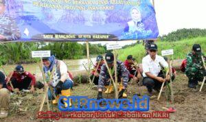 WhatsApp Image 2025-11-12 at 17.16.05