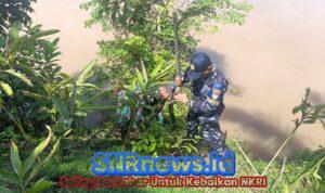 Posbinpotmar Bengkulu Tengah Bersinergi Dengan Koramil dan Polsek Pondok Kelapa Tanam Mangrove