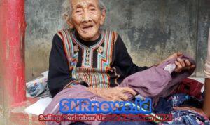 Si Jago Merah Hanguskan Rumah Lansia, Warga Berusaha Padamkan Api