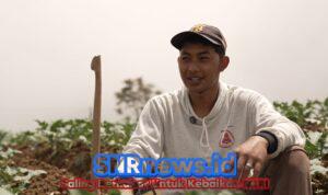 Petani Sayur di Boyolali Tersenyum Berkat MBG, Harga Naik dan Permintaan Meningkat