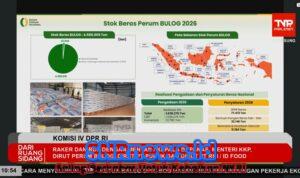 WhatsApp Image 2026-04-07 at 18.15.17