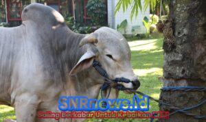 WhatsApp Image 2026-05-29 at 06.26.28