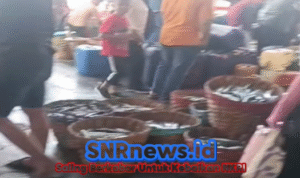 Ikan Lisong Melimpah di Laut Sukabumi: Kandungan Gizi dan Cara Masaknya, foto Ist Warga